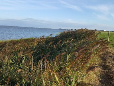 Holiday house Seaside Retreat at Rim - By Traum Ferienwohnungen - Outdoor photo 27