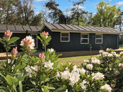 Holiday house 6 Personen Ferienhaus in Hadsund-By Traum - Outdoor photo 16
