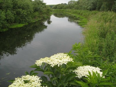 Holiday house 6 person holiday home in Kolind-By Traum - Outdoor photo 3