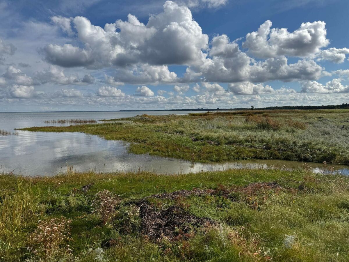 Holiday house 6 person holiday home in Ørsted-By Traum - Outdoor photo 4