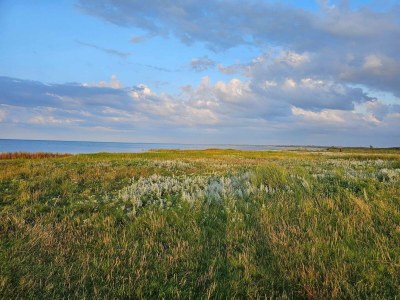 Holiday house 6 person holiday home in Ørsted-By Traum - Outdoor photo 10