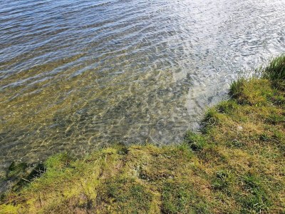 Holiday house 6 person holiday home in Ørsted-By Traum - Outdoor photo 11