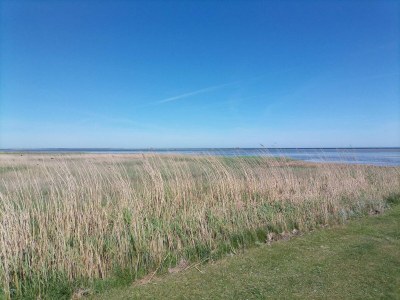 Holiday house 6 person holiday home in Ørsted-By Traum - Outdoor photo 14