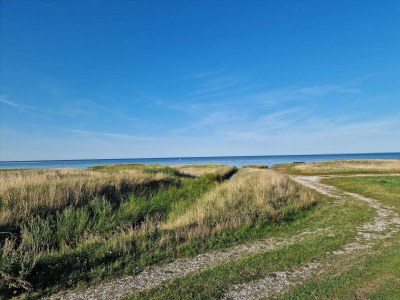 Holiday house 6 person holiday home in Ørsted-By Traum - Outdoor photo 32