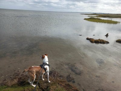 Holiday house 6 person holiday home in Ørsted-By Traum - Outdoor photo 35