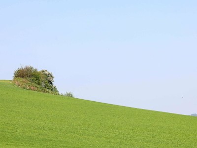 Holiday house 10 person holiday home in Haderslev-By Traum - Outdoor photo 8