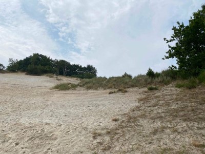 Holiday house Luxus-Ruckzug am Strand -- By Traum Ferienwohnungen - Outdoor photo 23