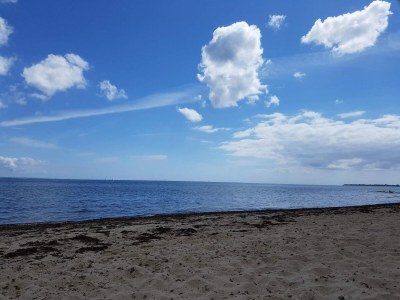 Holiday house Tranquil Retreat in Mommark - By Traum Ferienwohnungen - Outdoor photo 31