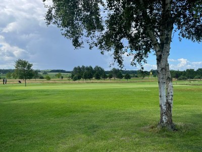 Holiday house Tranquil Retreat in Mommark - By Traum Ferienwohnungen - Outdoor photo 35