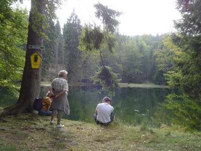 Holiday apartment Luckert - Environment photo 10