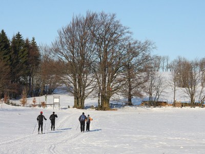 Holiday apartment Luckert - Environment photo 11