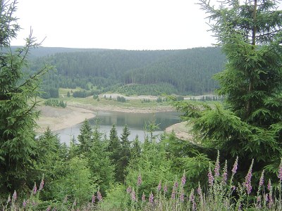 Holiday apartment Luckert - Environment photo 14