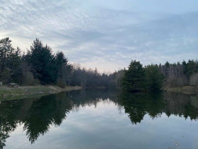 Holiday house 6 Personen Ferienhaus in Oksbøl-By Traum - Outdoor photo 13