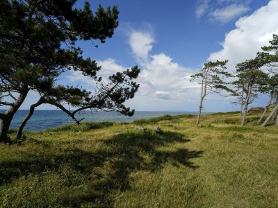 Holiday house 6 Personen Ferienhaus in Gilleleje-By Traum - Outdoor photo 24