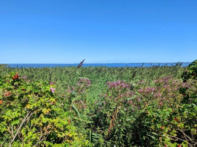 Holiday house Secluded Haven near Fjord - By Traum Ferienwohnungen - Outdoor photo 7