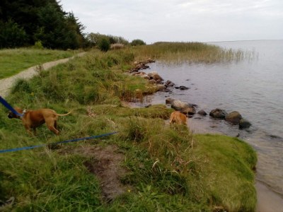 Holiday house Secluded Haven near Fjord - By Traum Ferienwohnungen - Outdoor photo 11