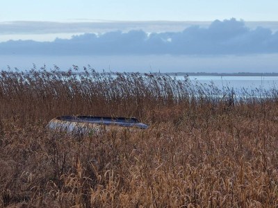 Holiday house Secluded Haven near Fjord - By Traum Ferienwohnungen - Outdoor photo 29