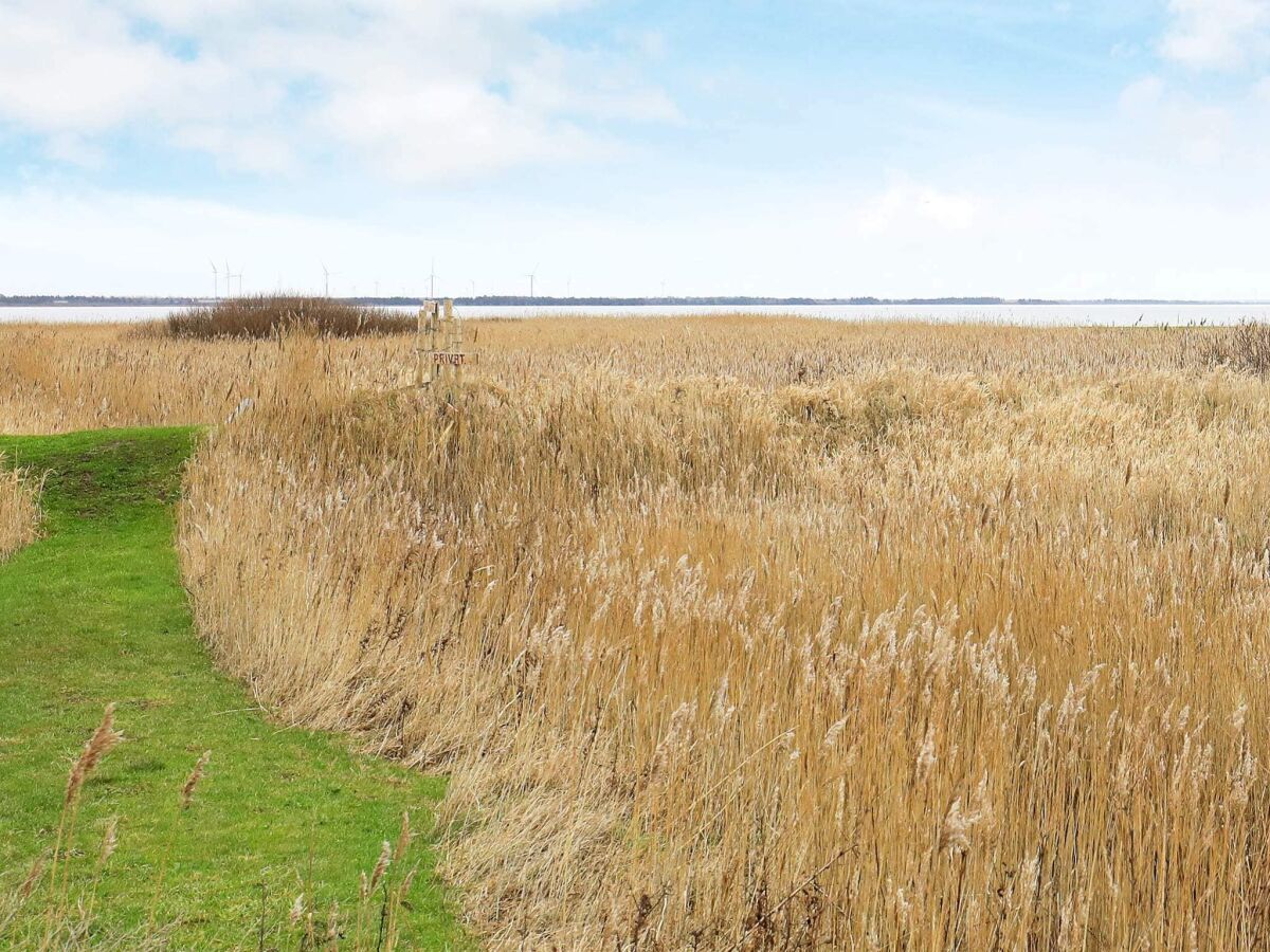 Holiday house 7 person holiday home in Ulfborg-By Traum - Outdoor photo 2