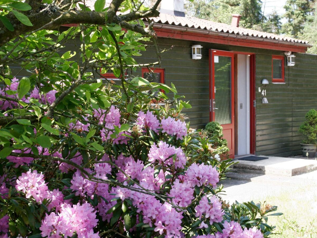 Holiday house Lakefront Retreat in Sohojlandet - By Traum Ferienwohnungen - Outdoor photo 4