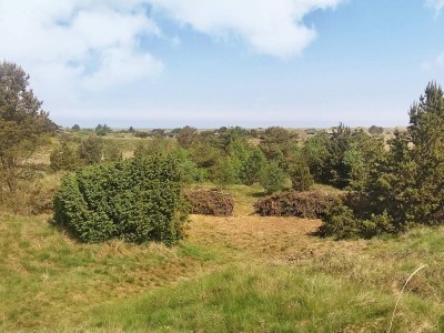 Holiday house Strand-Ruckzug mit Spa -- By Traum Ferienwohnungen - Outdoor photo 2
