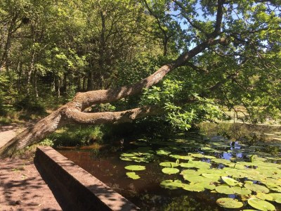 Holiday house Strand-Ruckzug mit Spa -- By Traum Ferienwohnungen - Outdoor photo 10