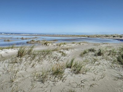 Holiday house Strand-Ruckzug mit Spa -- By Traum Ferienwohnungen - Outdoor photo 16