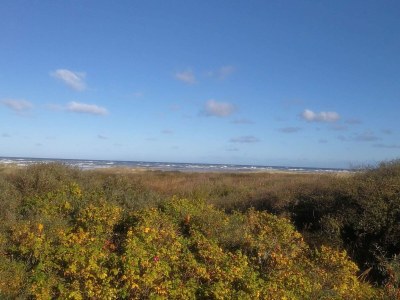 Holiday house Strand-Ruckzug mit Spa -- By Traum Ferienwohnungen - Outdoor photo 26