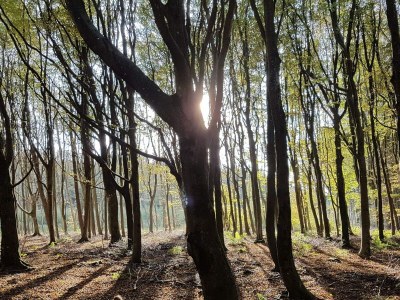 Holiday house Panoramablick am Meer -- By Traum Ferienwohnungen - Outdoor photo 12