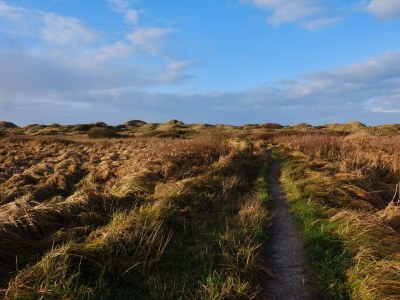 Holiday house Panoramablick am Meer -- By Traum Ferienwohnungen - Outdoor photo 23