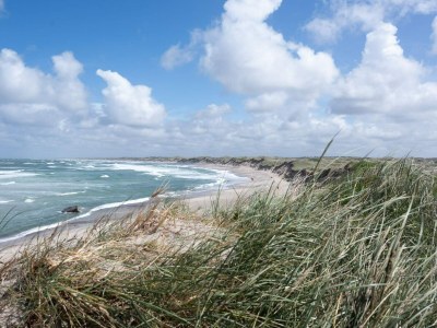 Holiday house 6 Personen Ferienhaus in Thisted-By Traum - Outdoor photo 34