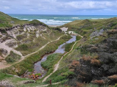 Holiday house 6 Personen Ferienhaus in Thisted-By Traum - Outdoor photo 39