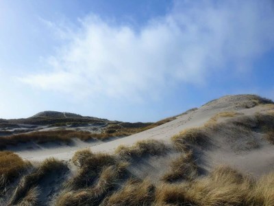 Holiday house Cozy Dune Retreat near Sea - By Traum Ferienwohnungen - Outdoor photo 17
