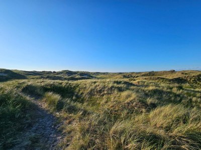 Holiday house Cozy Dune Retreat near Sea - By Traum Ferienwohnungen - Outdoor photo 40