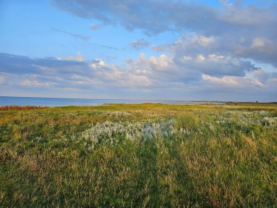 Holiday house Seaside Escape with Pool - By Traum Ferienwohnungen - Outdoor photo 32