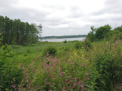 Holiday house 8 person holiday home in Aabenraa-By Traum - Outdoor photo 36