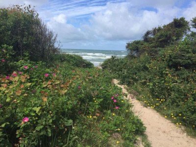 Holiday house Verstecktes Paradies mit Pool -- By Traum Ferienwohnungen - Outdoor photo 19
