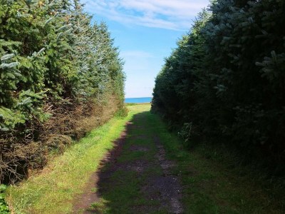 Holiday house Verstecktes Paradies mit Pool -- By Traum Ferienwohnungen - Outdoor photo 21