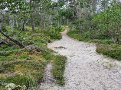 Holiday house Verstecktes Paradies mit Pool -- By Traum Ferienwohnungen - Outdoor photo 22