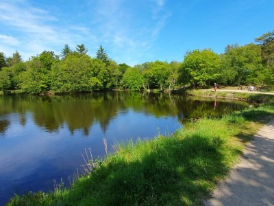 Holiday house Verstecktes Paradies mit Pool -- By Traum Ferienwohnungen - Outdoor photo 25