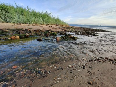 Holiday house Cozy Retreat near Beach - By Traum Ferienwohnungen - Outdoor photo 6