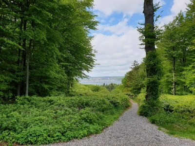 Holiday house Cozy Retreat near Beach - By Traum Ferienwohnungen - Outdoor photo 18