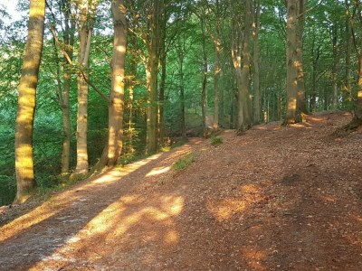 Holiday house Cozy Retreat near Beach - By Traum Ferienwohnungen - Outdoor photo 25