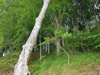 Holiday house Cozy Retreat near Beach - By Traum Ferienwohnungen - Outdoor photo 27