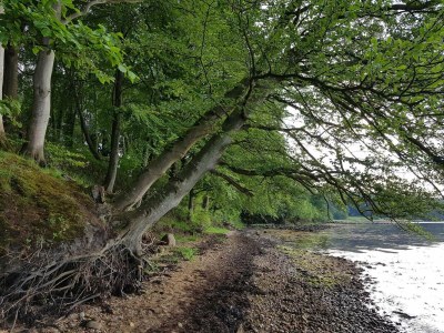 Holiday house Cozy Retreat near Beach - By Traum Ferienwohnungen - Outdoor photo 29