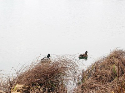 Holiday house 6 person holiday home in Otterndorf - Outdoor photo 7