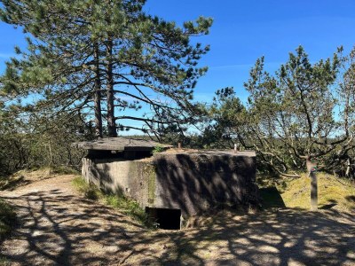 Holiday house 5 person holiday home in Oksbøl-By Traum - Outdoor photo 9