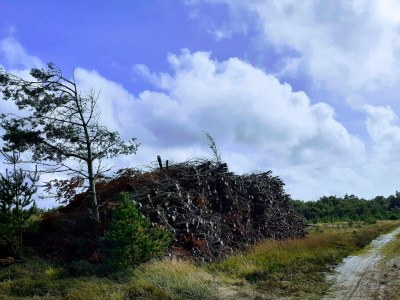 Holiday house 5 person holiday home in Oksbøl-By Traum - Outdoor photo 22