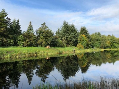 Holiday house 5 person holiday home in Oksbøl-By Traum - Outdoor photo 25