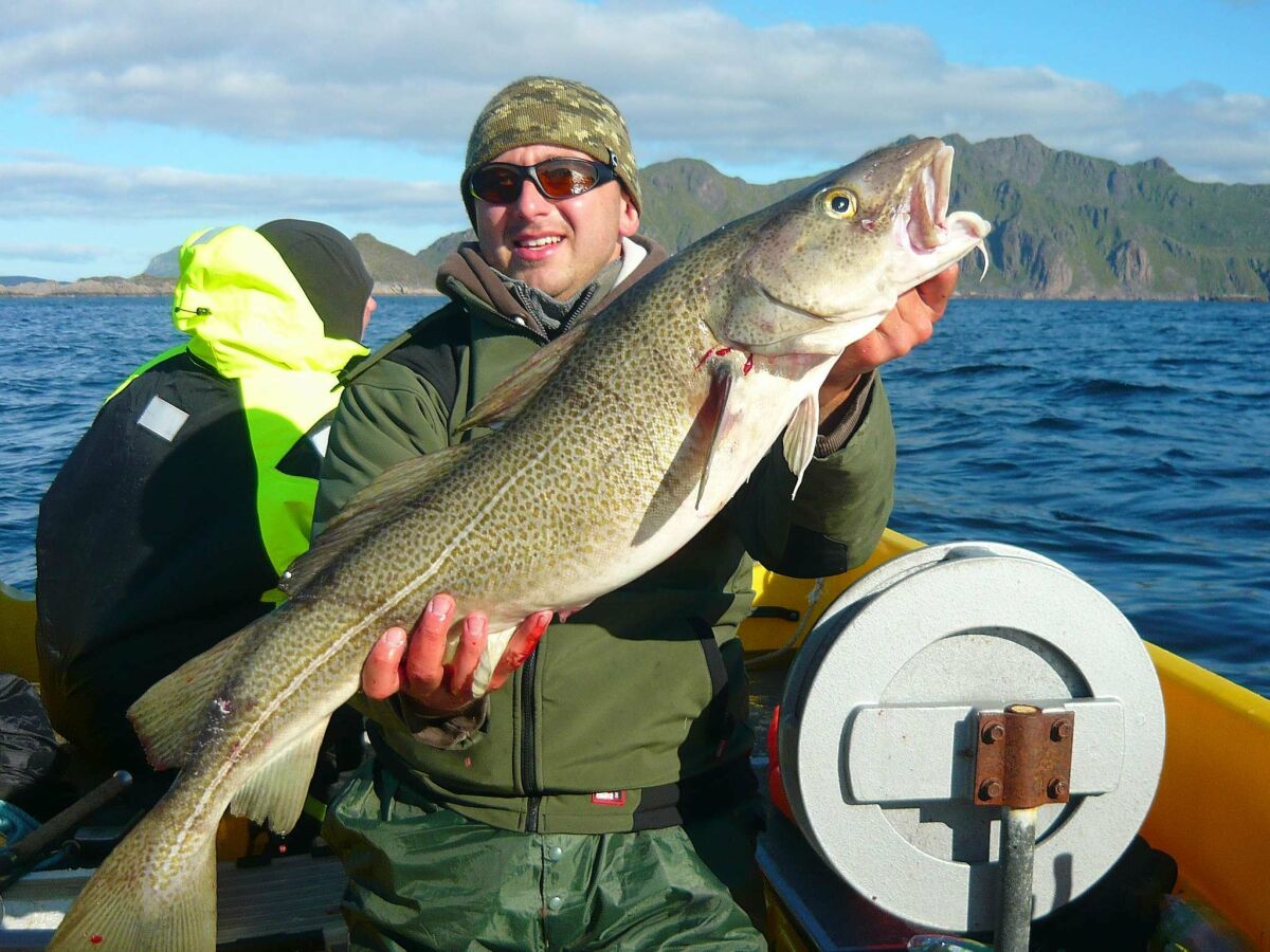 Holiday house 4 person holiday home in Gravdal-By Traum - Outdoor photo 2