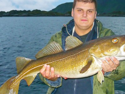 Holiday house 4 person holiday home in Gravdal-By Traum - Outdoor photo 3